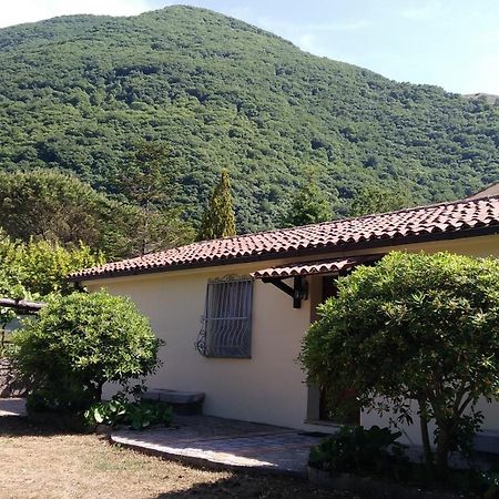 Agriturismo Collevento Trecchina Dış mekan fotoğraf