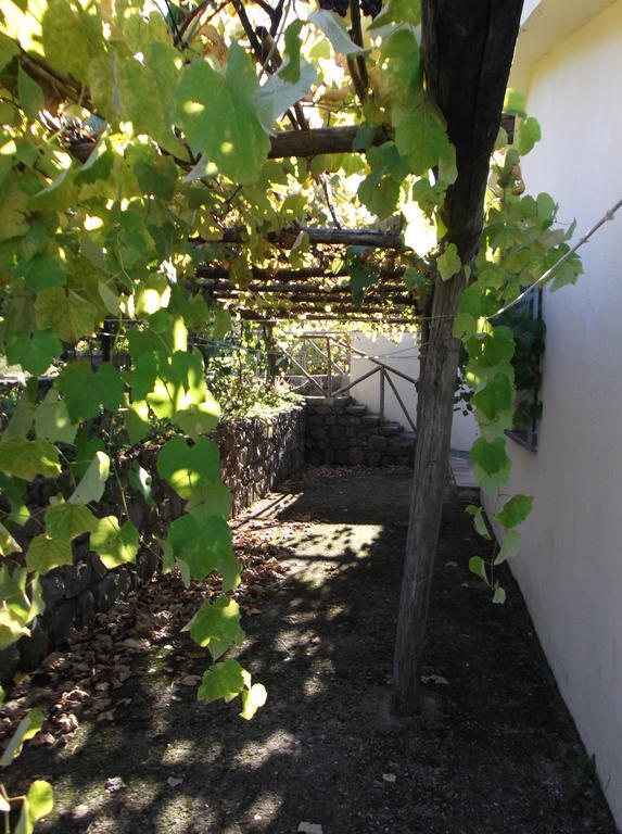 Agriturismo Collevento Trecchina Dış mekan fotoğraf