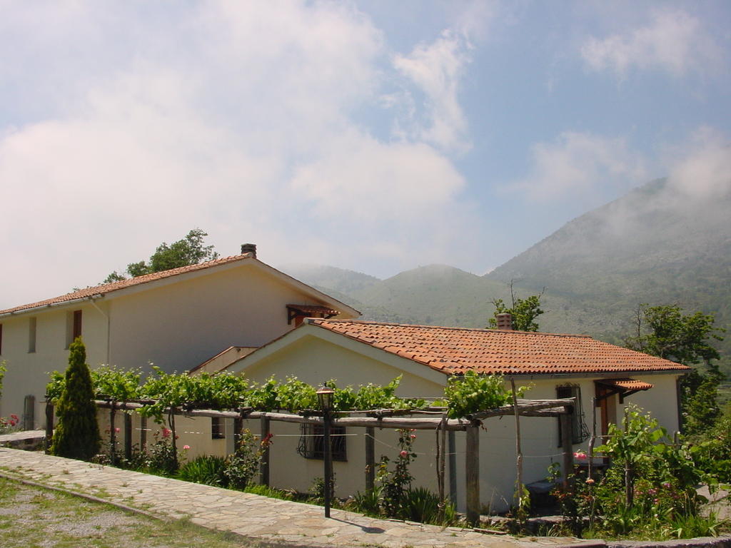 Agriturismo Collevento Trecchina Dış mekan fotoğraf
