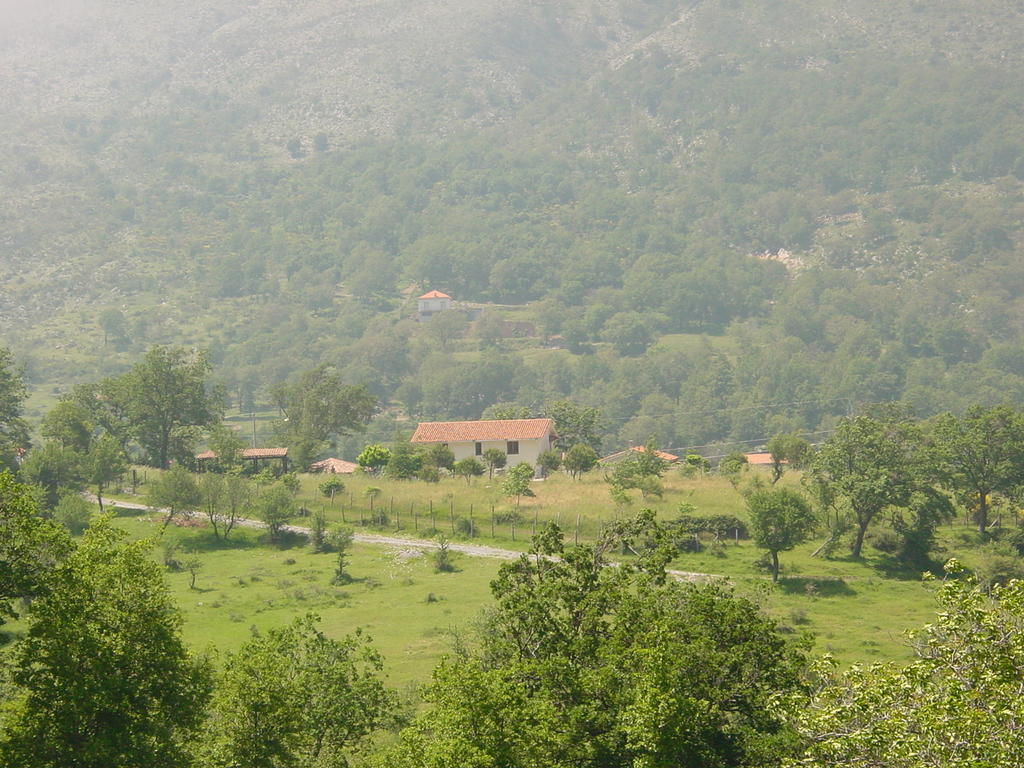 Agriturismo Collevento Trecchina Dış mekan fotoğraf