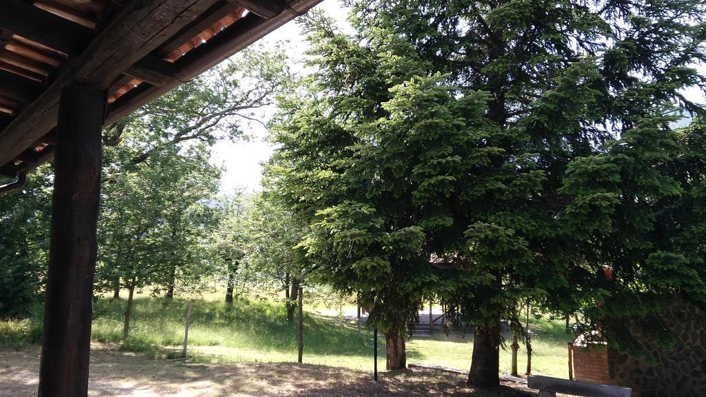 Agriturismo Collevento Trecchina Dış mekan fotoğraf