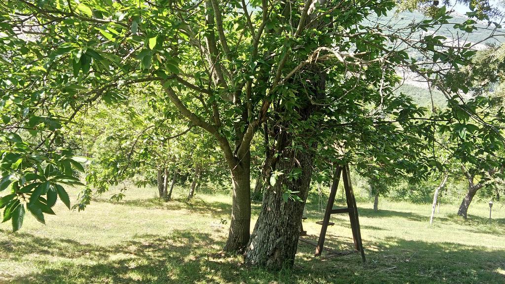 Agriturismo Collevento Trecchina Dış mekan fotoğraf