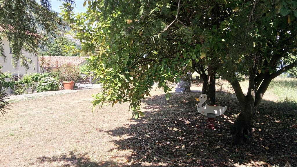 Agriturismo Collevento Trecchina Dış mekan fotoğraf