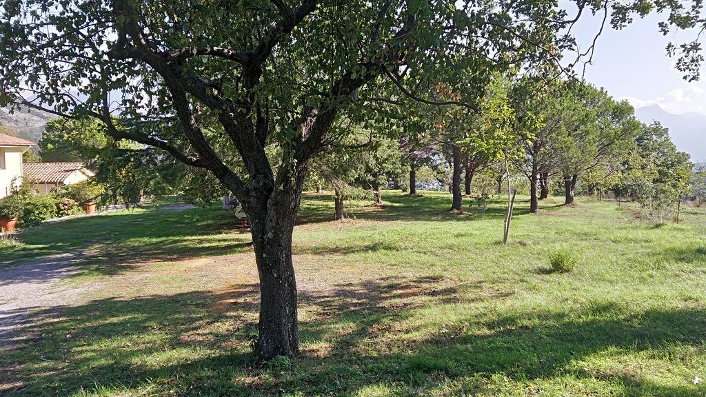 Agriturismo Collevento Trecchina Dış mekan fotoğraf